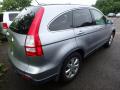 2008 CR-V EX-L 4WD #3