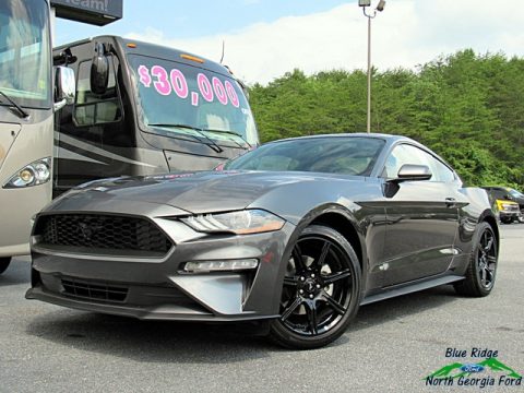 Magnetic Ford Mustang EcoBoost Fastback.  Click to enlarge.