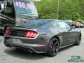 2018 Mustang EcoBoost Fastback #5