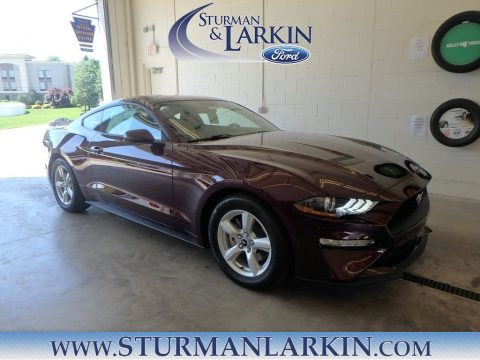 Royal Crimson Ford Mustang EcoBoost Fastback.  Click to enlarge.