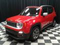 2018 Renegade Limited #2