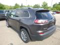 2019 Cherokee Latitude Plus 4x4 #3 2019 Cherokee Latitude Plus 4x4 #3