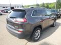 2019 Cherokee Latitude Plus 4x4 #5 2019 Cherokee Latitude Plus 4x4 #5