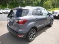 2018 EcoSport SES 4WD #2
