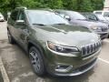 Front 3/4 View of 2019 Jeep Cherokee Limited 4x4 #6