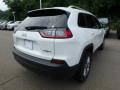 2019 Cherokee Latitude Plus 4x4 #5 2019 Cherokee Latitude Plus 4x4 #5