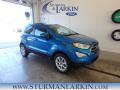 2018 EcoSport SE 4WD #1 2018 EcoSport SE 4WD #1