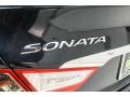2014 Sonata SE #7