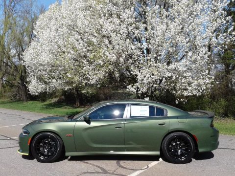 F8 Green Dodge Charger R/T Scat Pack.  Click to enlarge.