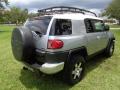 2007 FJ Cruiser 4WD #9
