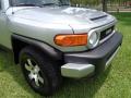 2007 FJ Cruiser 4WD #19