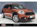 2018 Countryman Cooper #1