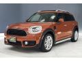 2018 Countryman Cooper #13