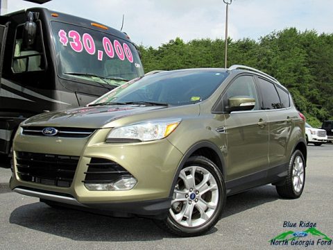 Ginger Ale Ford Escape Titanium 2.0L EcoBoost.  Click to enlarge.