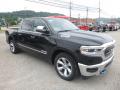 2019 1500 Limited Crew Cab 4x4 #7