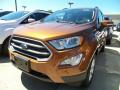 2018 EcoSport SE 4WD #1 2018 EcoSport SE 4WD #1