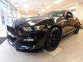 2018 Mustang Shelby GT350 #6