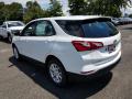 2019 Equinox LS #4 2019 Equinox LS #4