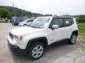 2018 Renegade Limited 4x4 #1