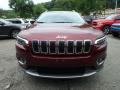 2019 Cherokee Limited 4x4 #8 2019 Cherokee Limited 4x4 #8