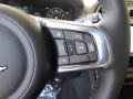  2019 Jaguar F-PACE S AWD Steering Wheel #29