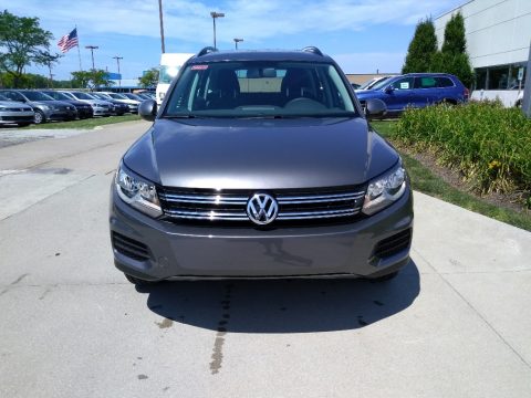 Pepper Gray Metallic Volkswagen Tiguan Limited 2.0T 4Motion.  Click to enlarge.