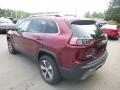 2019 Cherokee Limited 4x4 #3