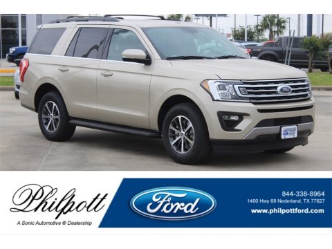 White Gold Ford Expedition XLT.  Click to enlarge.