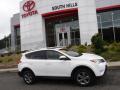 2015 RAV4 XLE AWD #2