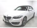 2018 2 Series 230i xDrive Convertible #1 2018 2 Series 230i xDrive Convertible #1
