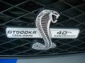 2008 Mustang Shelby GT500KR Coupe #35