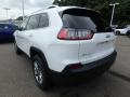 2019 Cherokee Latitude Plus 4x4 #3 2019 Cherokee Latitude Plus 4x4 #3