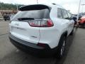 2019 Cherokee Latitude Plus 4x4 #5 2019 Cherokee Latitude Plus 4x4 #5