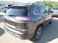 2019 Cherokee Limited 4x4 #5