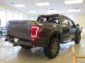 2018 F150 SVT Raptor SuperCrew 4x4 #25 2018 F150 SVT Raptor SuperCrew 4x4 #25