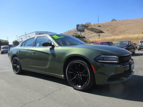 F8 Green Dodge Charger SXT.  Click to enlarge.