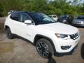 2019 Compass Limited 4x4 #7