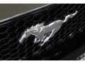 2019 Mustang GT Premium Convertible #4
