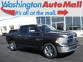 2016 1500 Big Horn Crew Cab 4x4 #12 2016 1500 Big Horn Crew Cab 4x4 #12