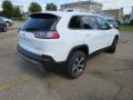 2019 Cherokee Limited 4x4 #14
