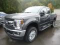  2019 Ford F250 Super Duty Magnetic #4
