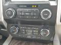 Controls of 2019 Ford F250 Super Duty Lariat Crew Cab 4x4 #16