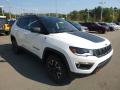 Front 3/4 View of 2019 Jeep Compass Trailhawk 4x4 #7