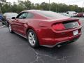 2018 Mustang EcoBoost Fastback #3