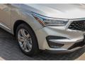 2019 RDX Advance #10