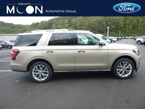 White Gold Ford Expedition Limited 4x4.  Click to enlarge.