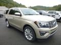 Front 3/4 View of 2018 Ford Expedition Limited 4x4 #3