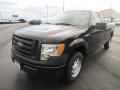 2010 Ford F150 XL Regular Cab