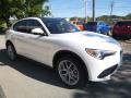 Front 3/4 View of 2019 Alfa Romeo Stelvio Ti Sport AWD #11