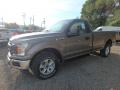 2018 F150 XL Regular Cab 4x4 #9 2018 F150 XL Regular Cab 4x4 #9